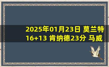 2025年01月23日 莫兰特16+13 肯纳德23分 马威38+9 灰熊轻取黄蜂迎4连胜